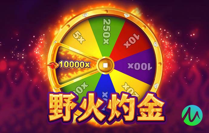 Dg体育足球网